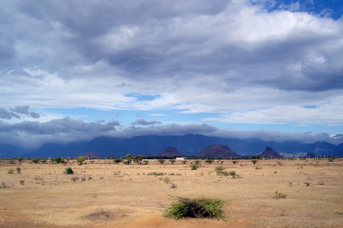 Tirunelveli Travel Guide: Things to Do, How to Reach, Best Time to Visit hero image