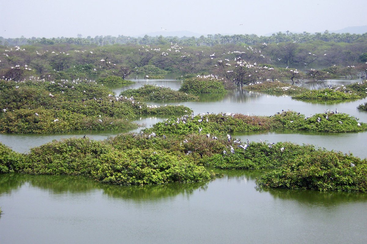 Vedanthangal — weekend trip starting point