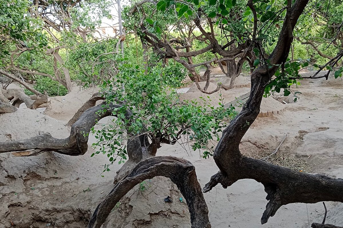 Vrindavan - India Travel Guide hero image